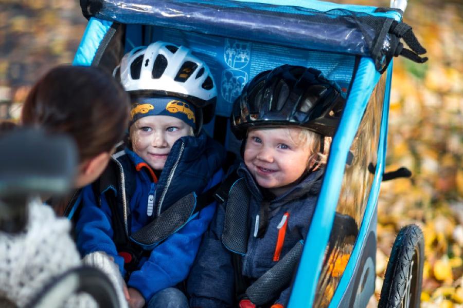 Utánfutó THULE COASTER XT kék kerékpár szett + sétálókerék kék — 9