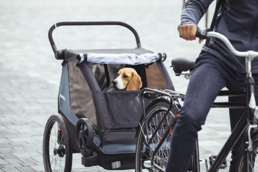 Utánfutó THULE COURIER kék/fekete — 2