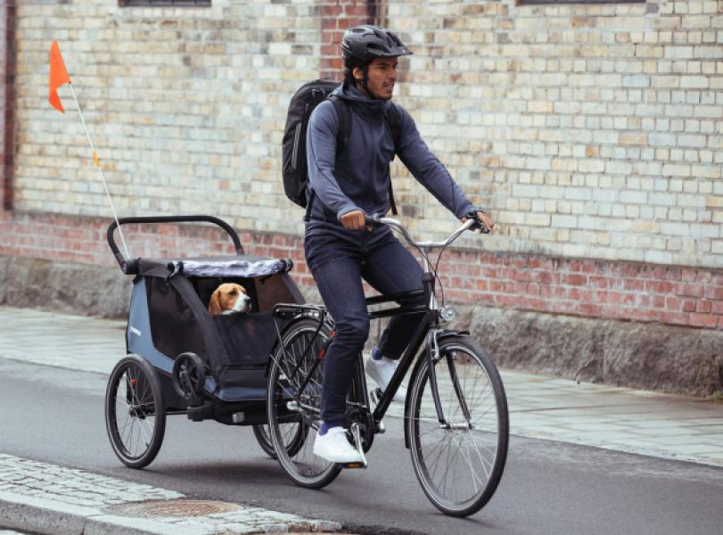 Kutyaszállító betét THULE COURIER-hez - Dog Trailer Kit — 2